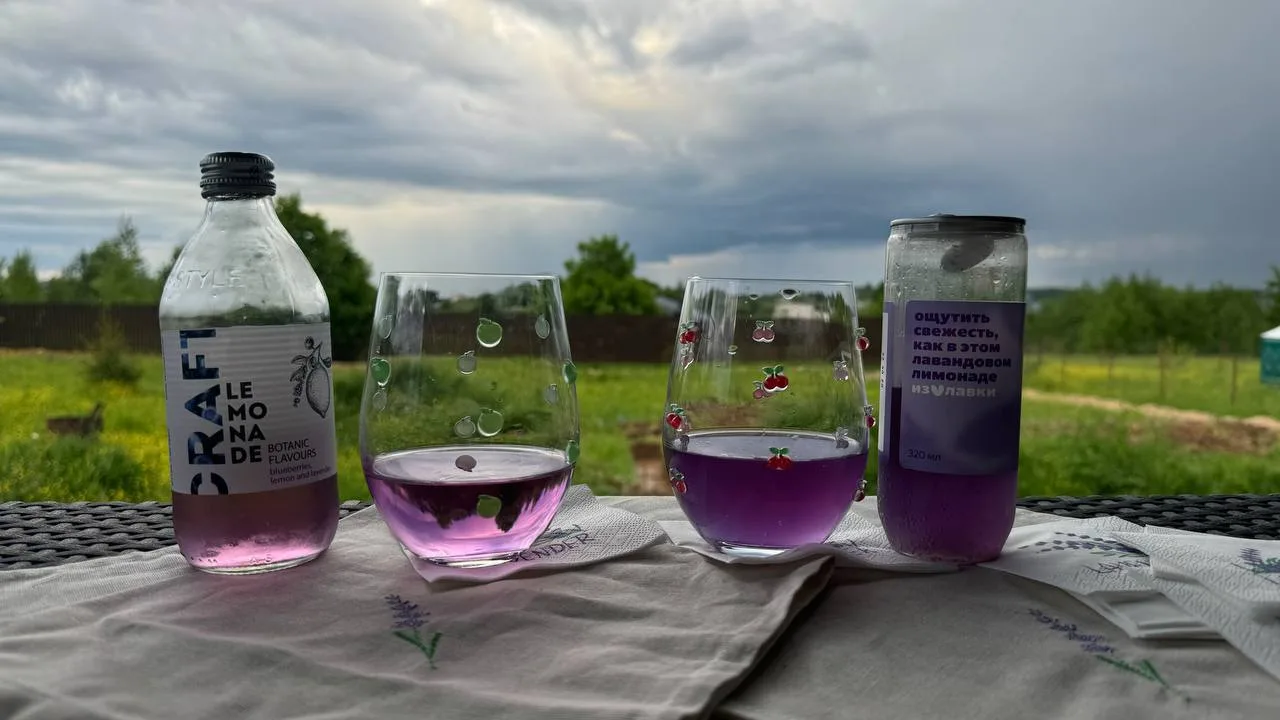 Доброе утро 💜

Мой лавандовый период продолжается. Сейчас я тестирую лавандовые лимонады