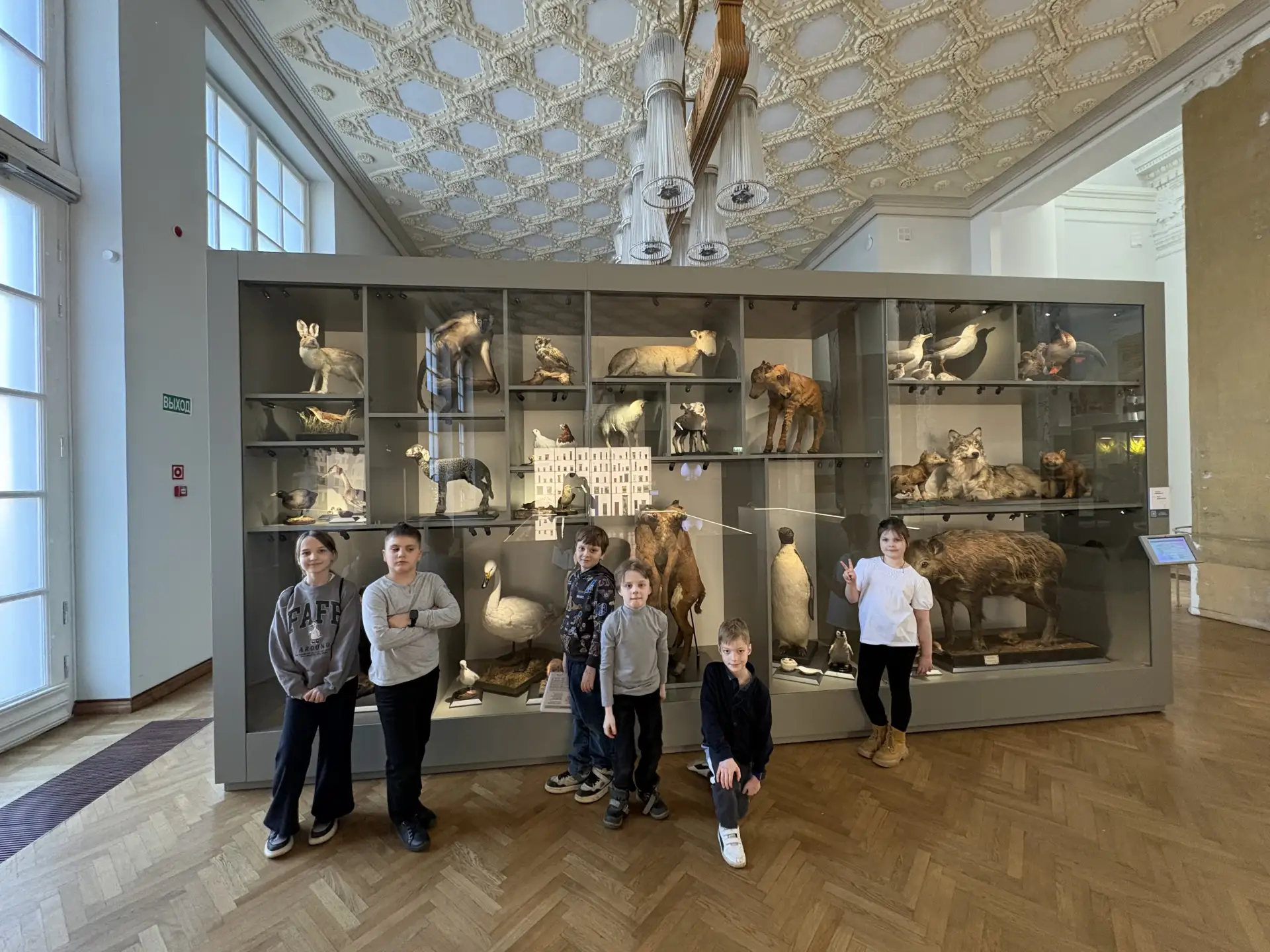🔬🐦✨ Ученики 1 «Г» класса окунулись в мир природы на выставке «12 признаков живого»!   В рамках Олимп