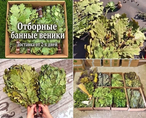 Свежие веники для бани! Дарим подарок к заказу! 🌿