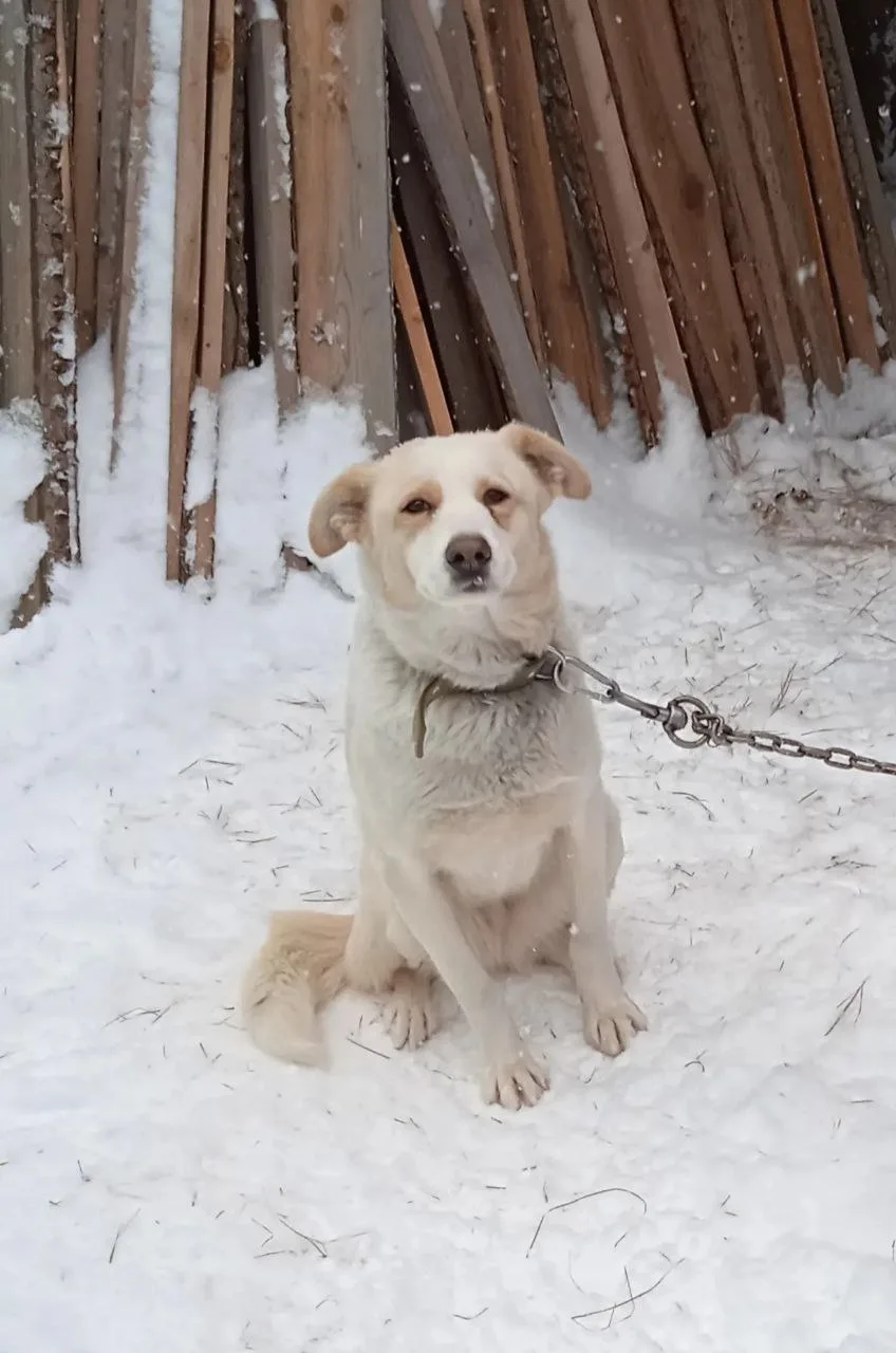 Приветик от домашней Снежанны🤗🌸