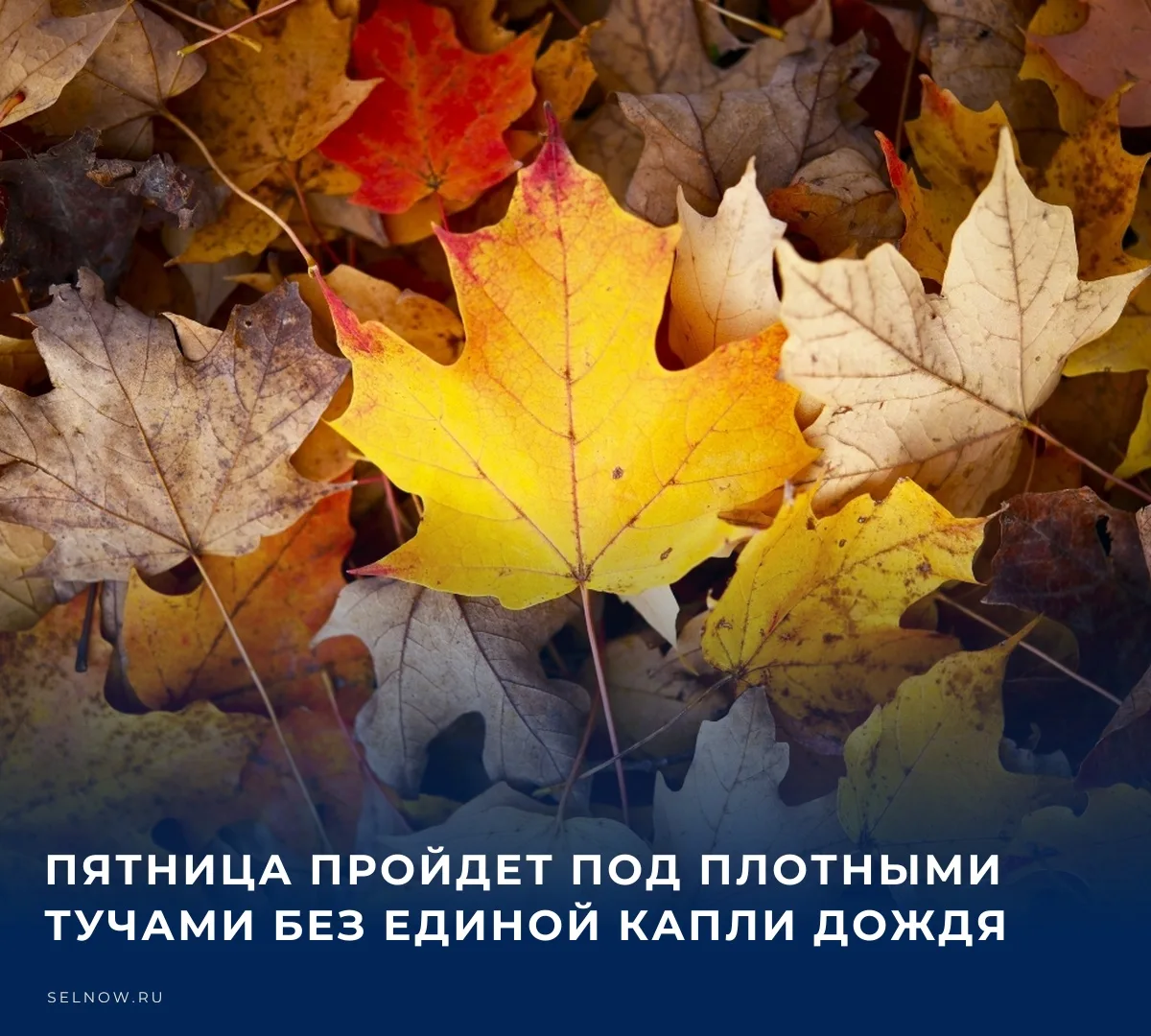 🌡️ Погодный бунт официально подавлен​