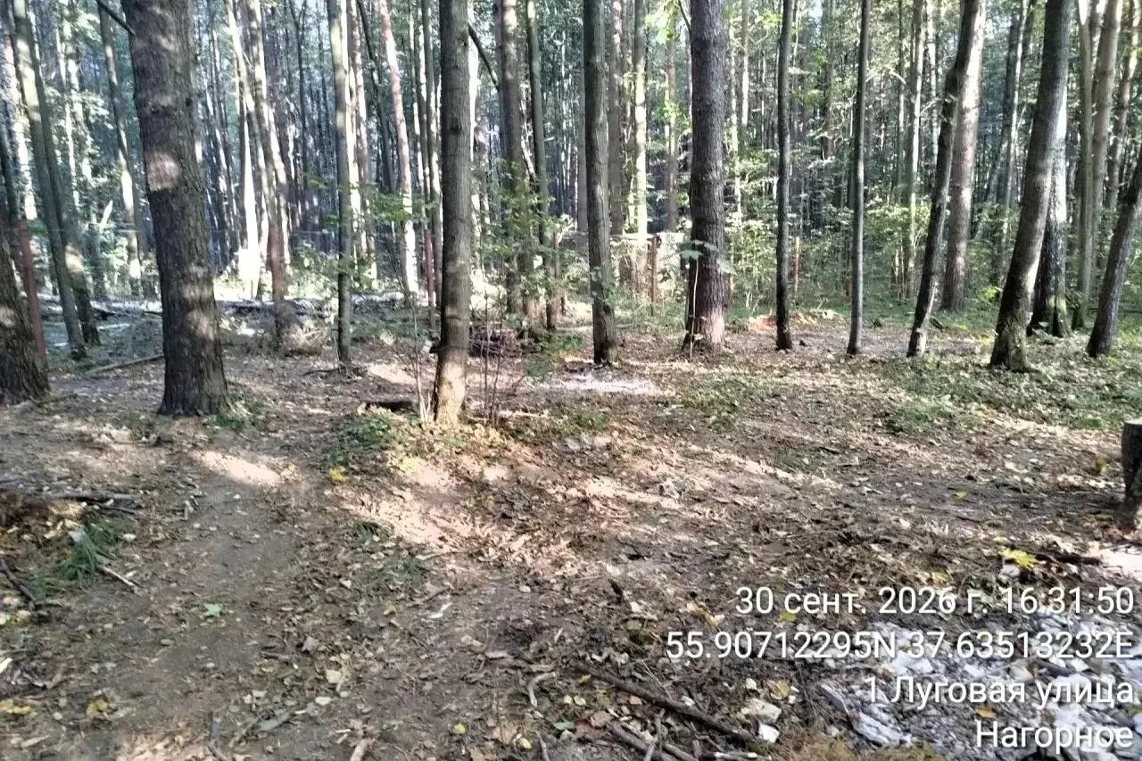 В ХМАО полиция проверяет видео с жестоким избиением женщины