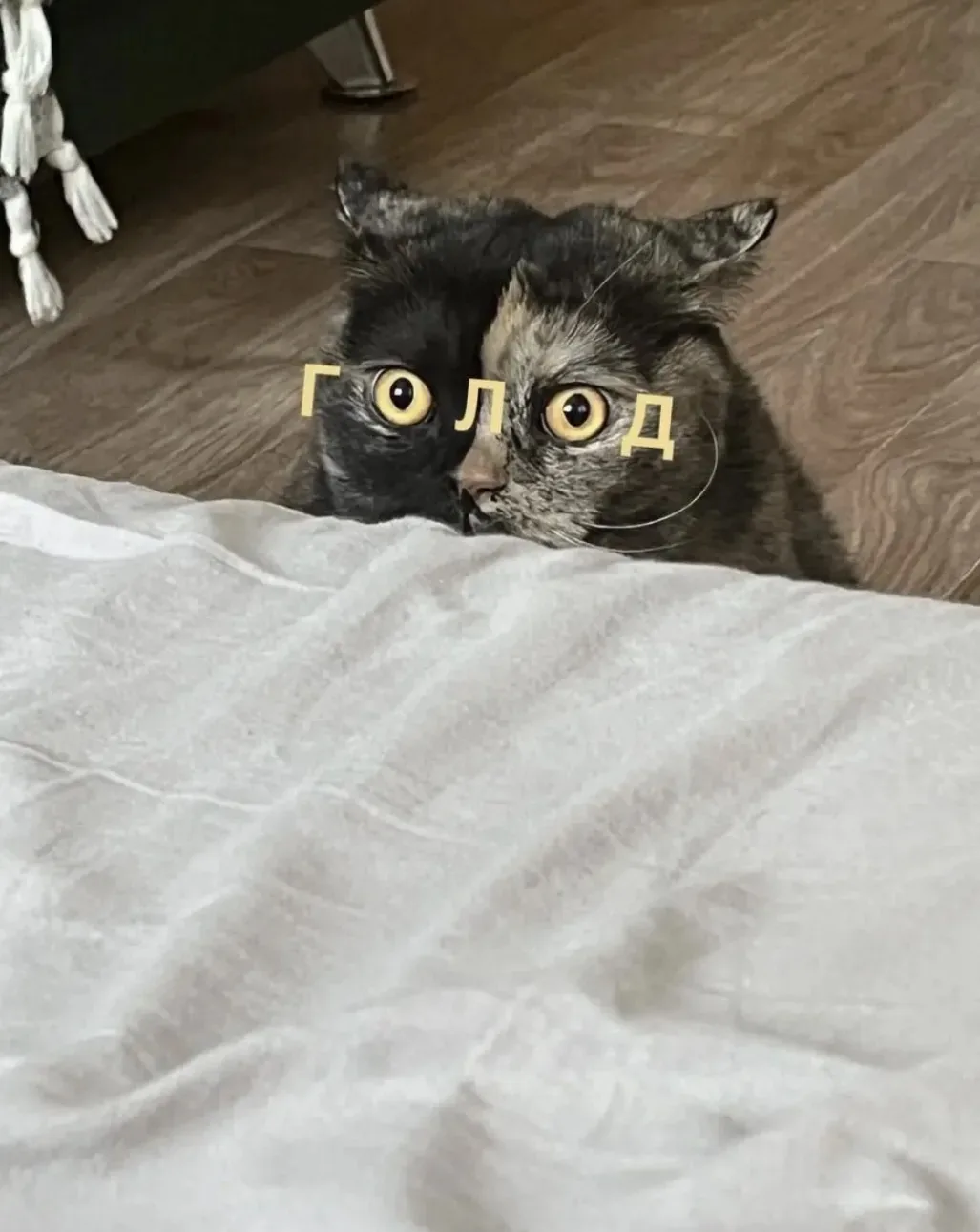 Всем сторонникам ночного дожора посвящается 😁