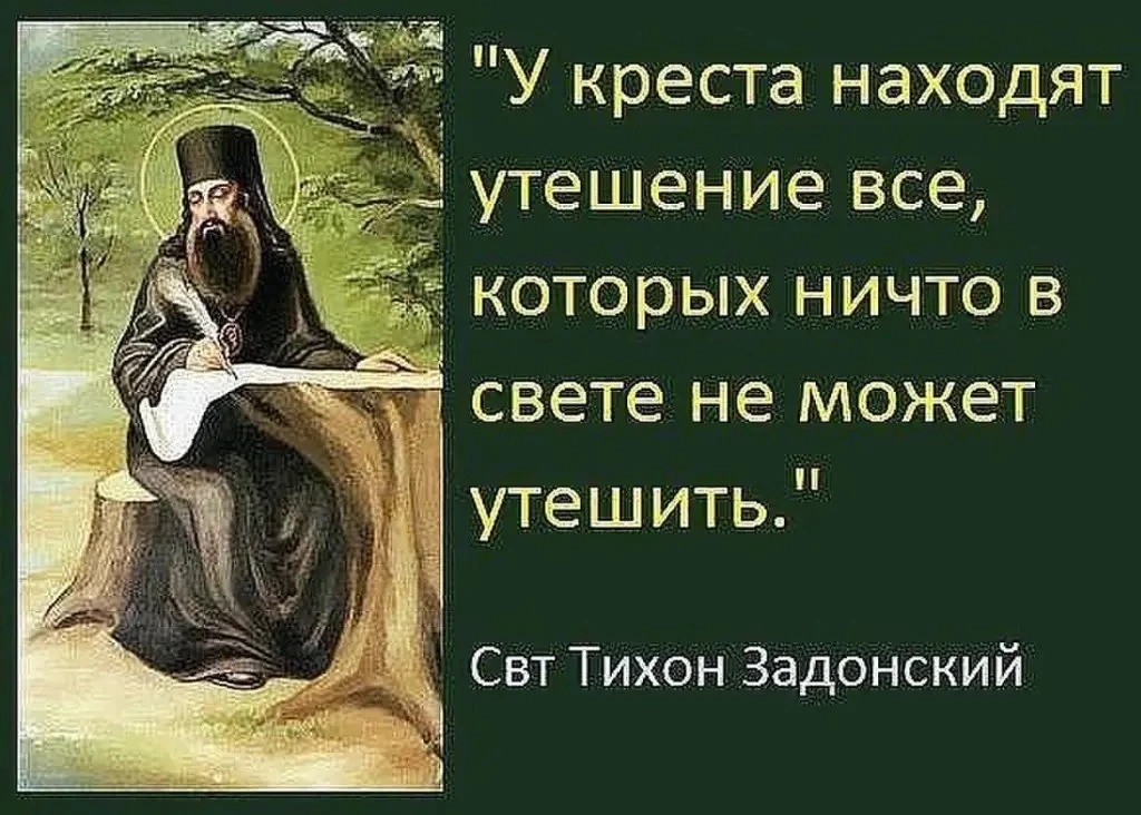 #цитата дня