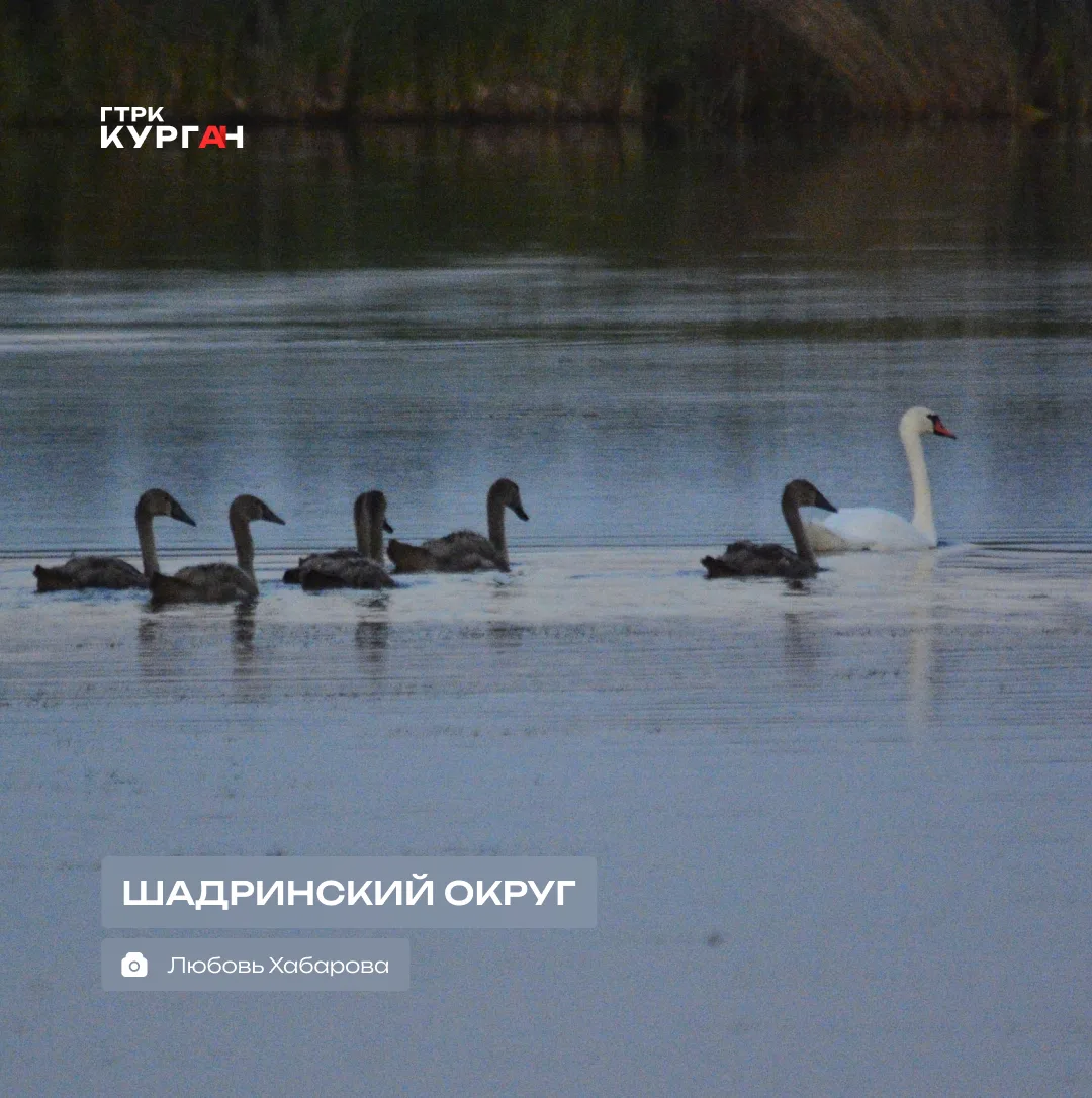 🌤 Доброе утро, зауральцы!