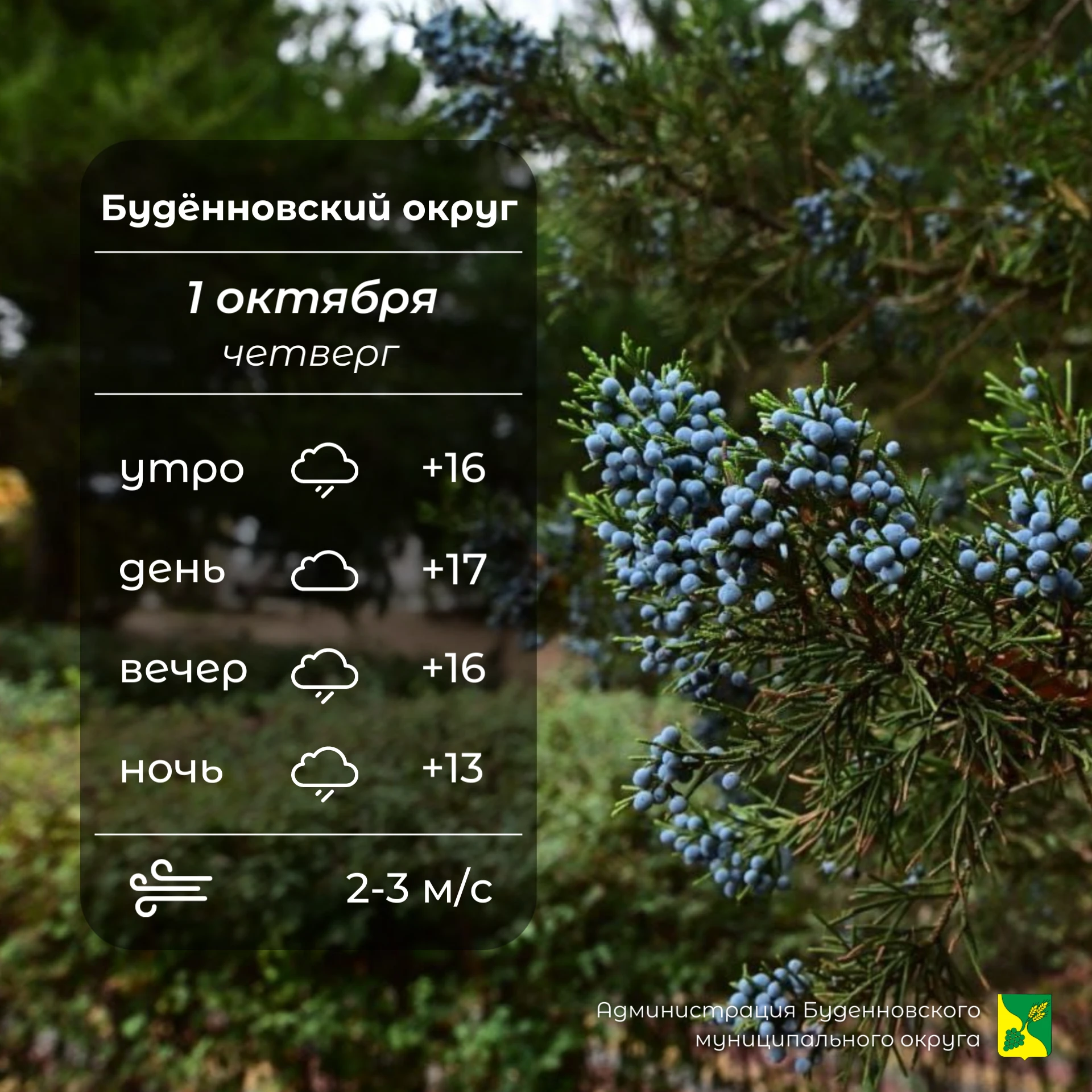 ☁️Сегодня в Буденновском округе пасмурно, возможен слабый дождь. Температура воздуха +1...