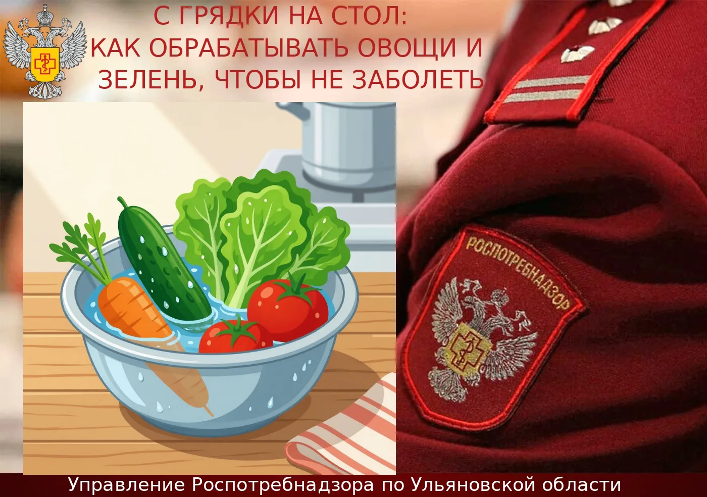 С грядки на стол: как обрабатывать овощи и зелень, чтобы не заболеть

Свежие овощи, фрукты и зелень 