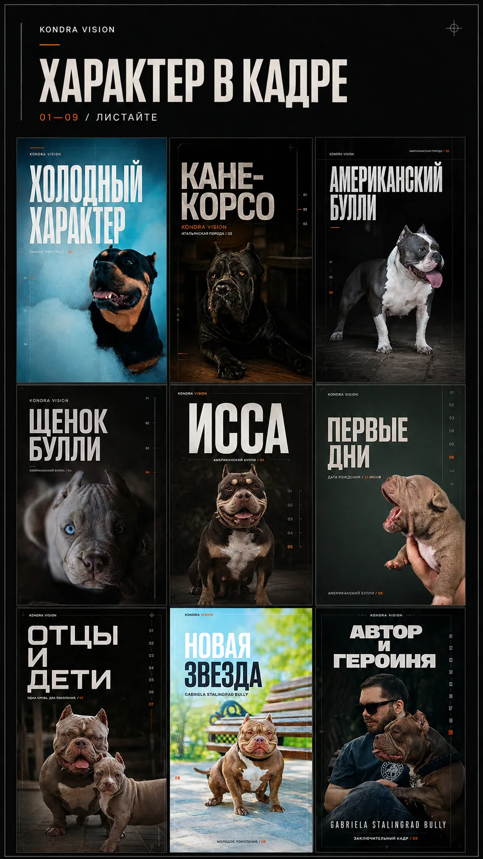 Медиа публикации