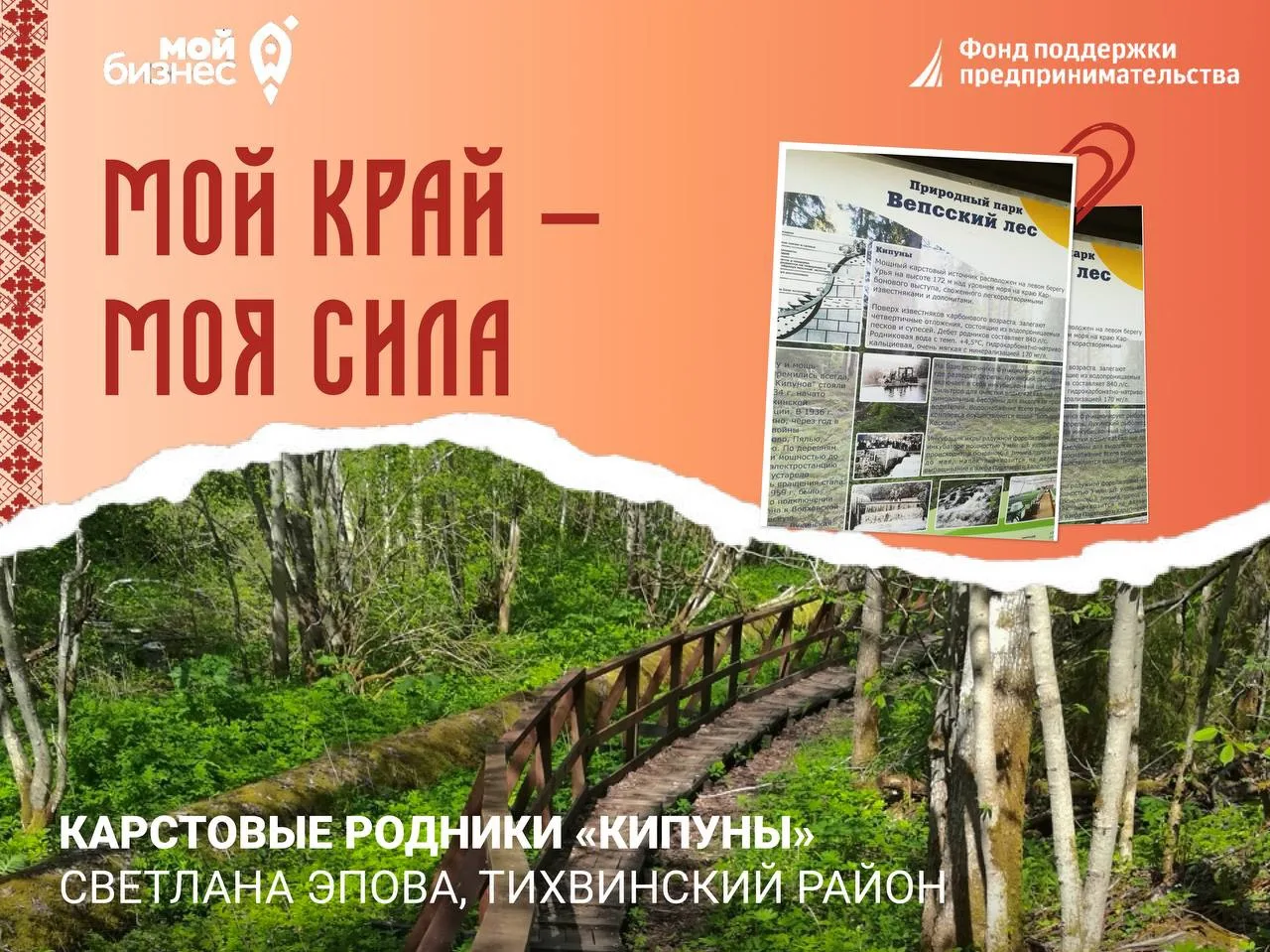 Отрывают нашу рубрику карстовые родники «Кипуны»,
Место силы Светланы Эповой из Тихвинского района

