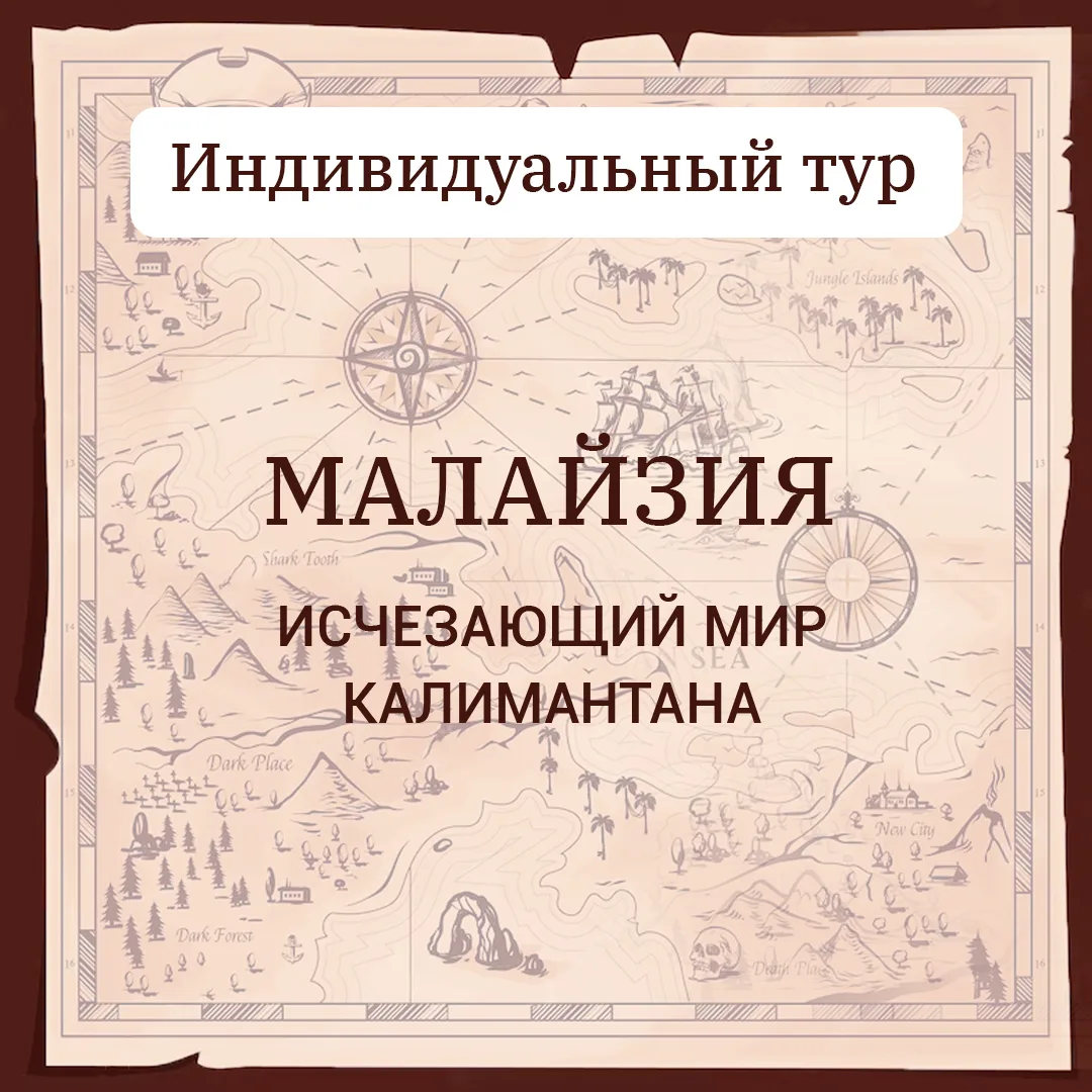 🦧 Есть путешествия, после которых вы не просто отдыхаете, а начинаете иначе смотреть на мир.  
Один