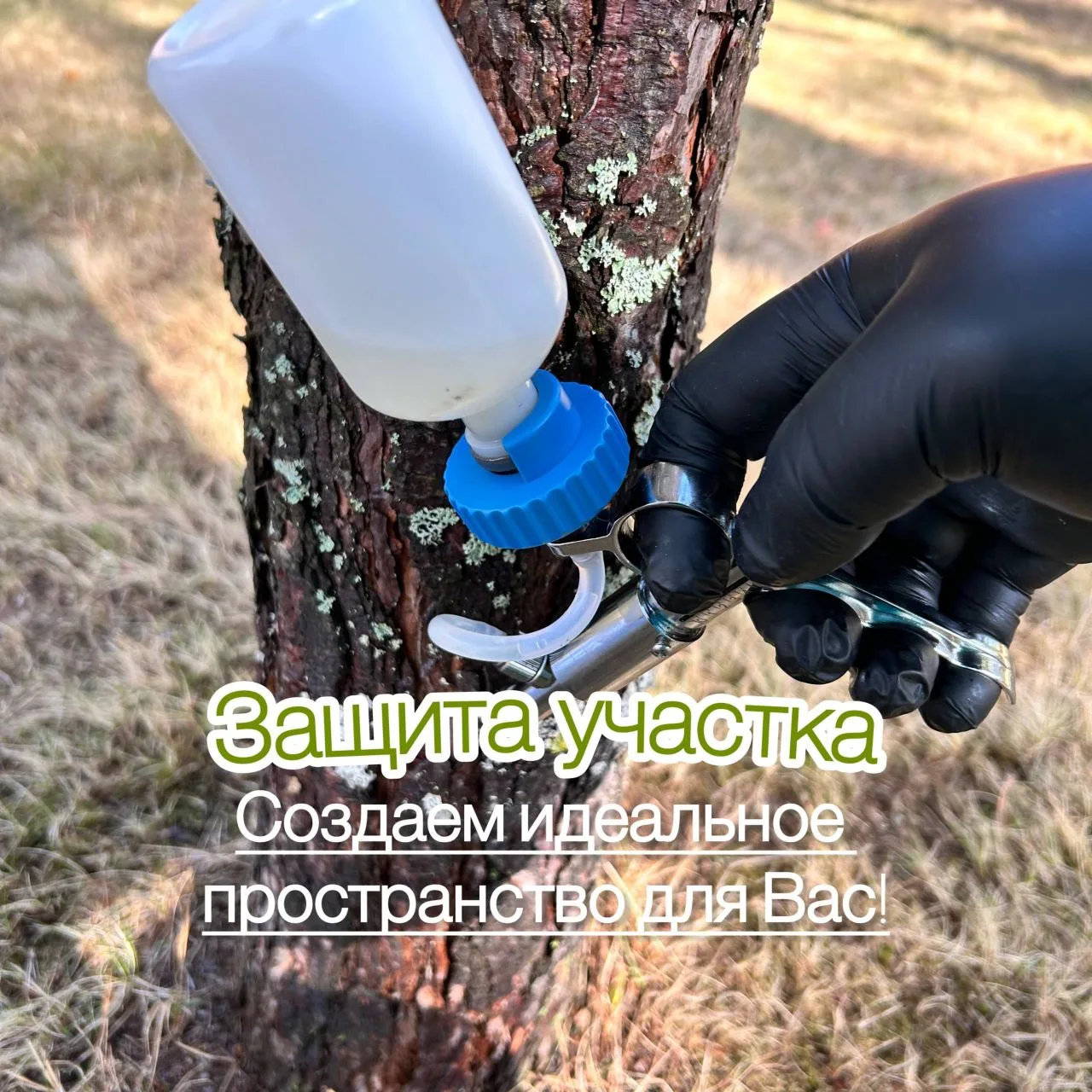 🌳 Лечение деревьев стволовыми инъекциями — эффективно и безопасно!

Стволовые инъекции позволяют до