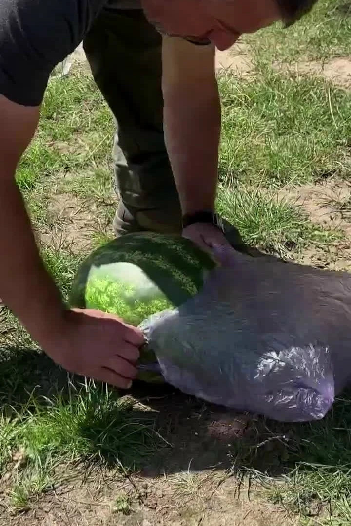 Полезные узлы для разных ситуаций
