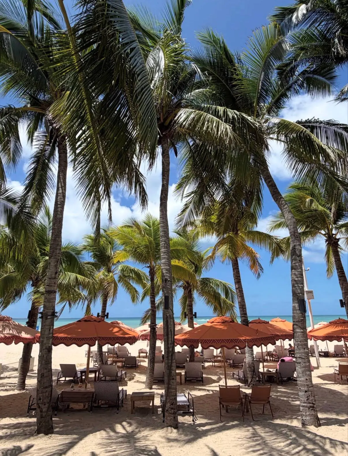 🌴 ХАЙНАНЬ СУПЕРЦЕНА от 136 300 ₽ на 9+1 ночь за двоих с питанием завтраки 🤩