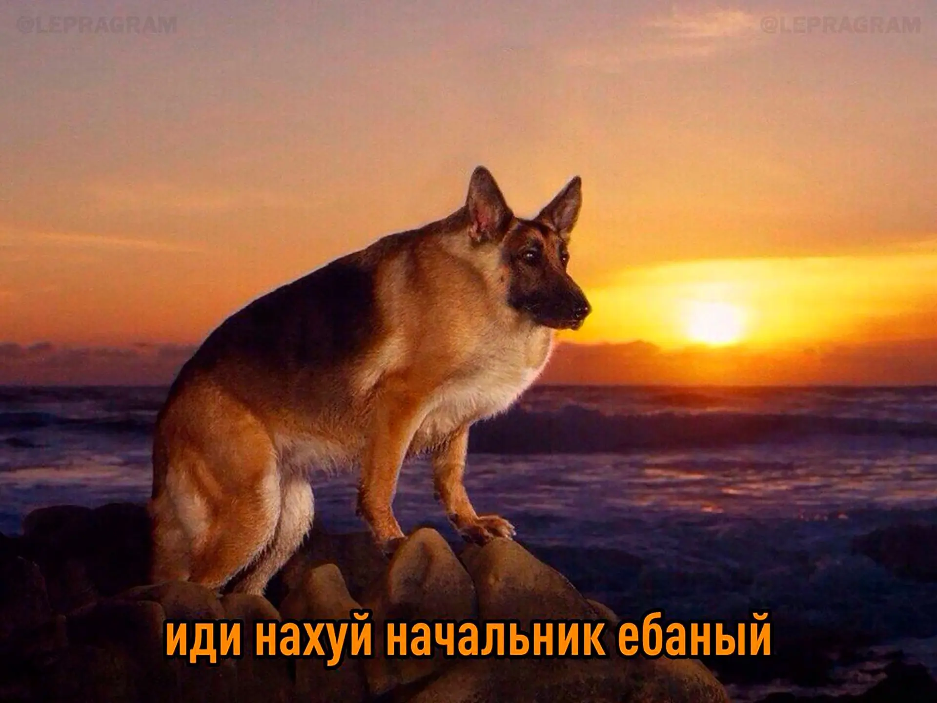 Сегодня мы отмечаем День «Пошли на хуй своего босса».