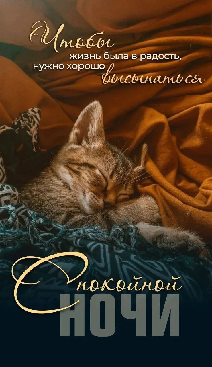 Спокойной ночи, друзья, приятных снов🥱