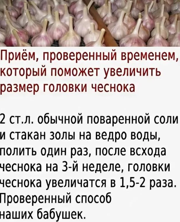Ηа　заʍетĸy　дачниĸаʍ　-　пρиᴦοдится　в　нοвοʍ　дачнοʍ　сезοне