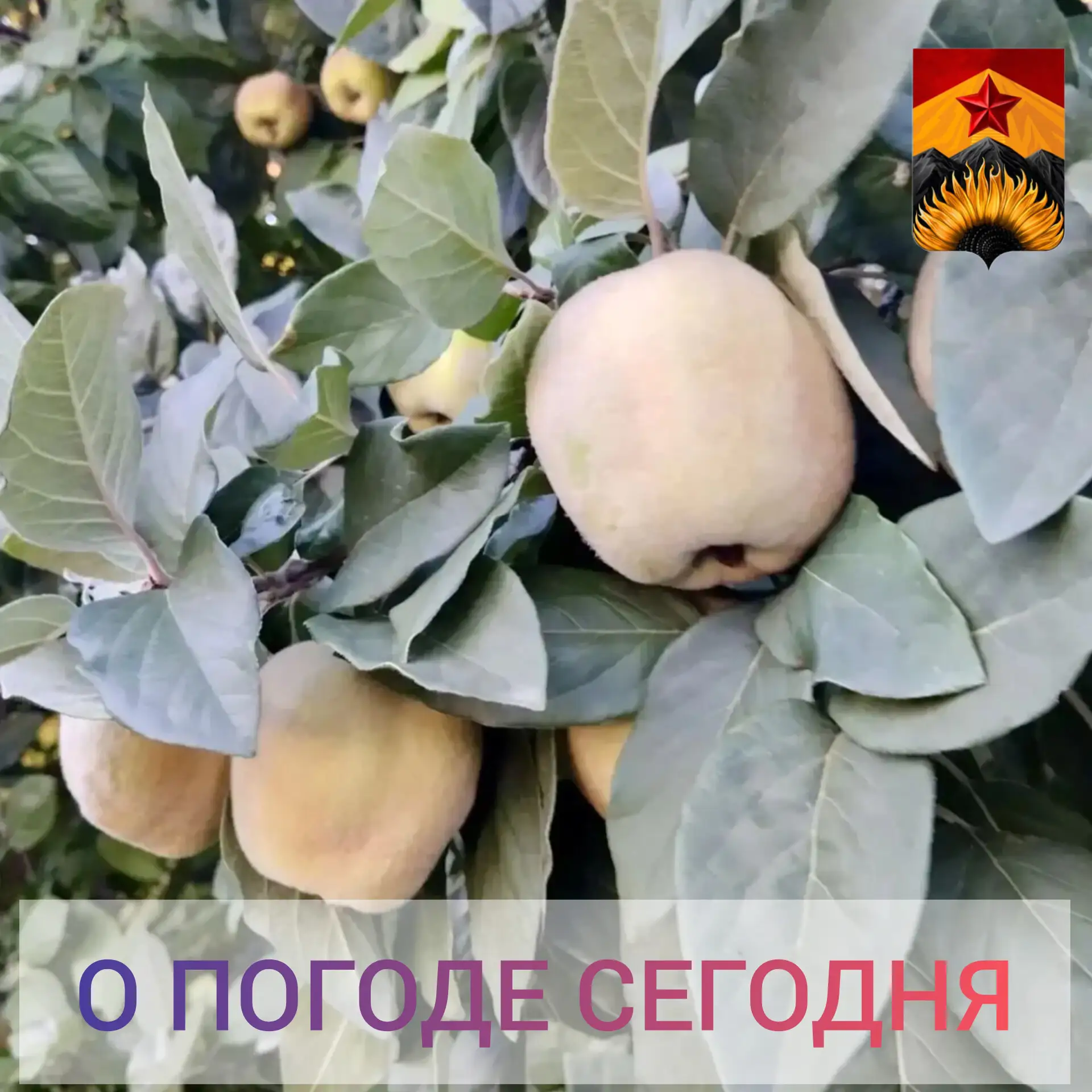 Гидрометцентр сообщил о погоде в Шахтерском округе