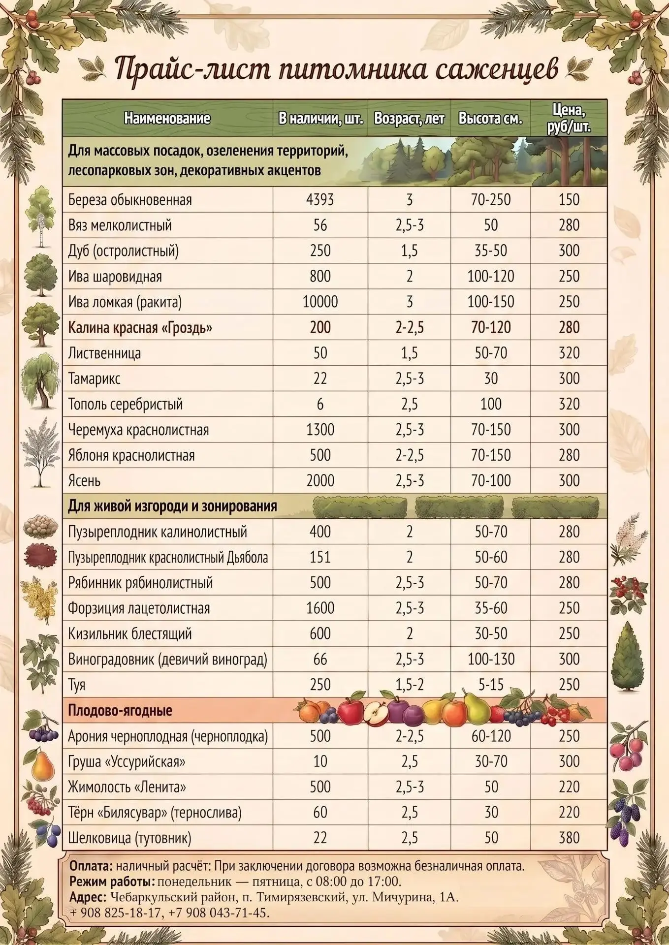 Саженцы в нашем питомнике.