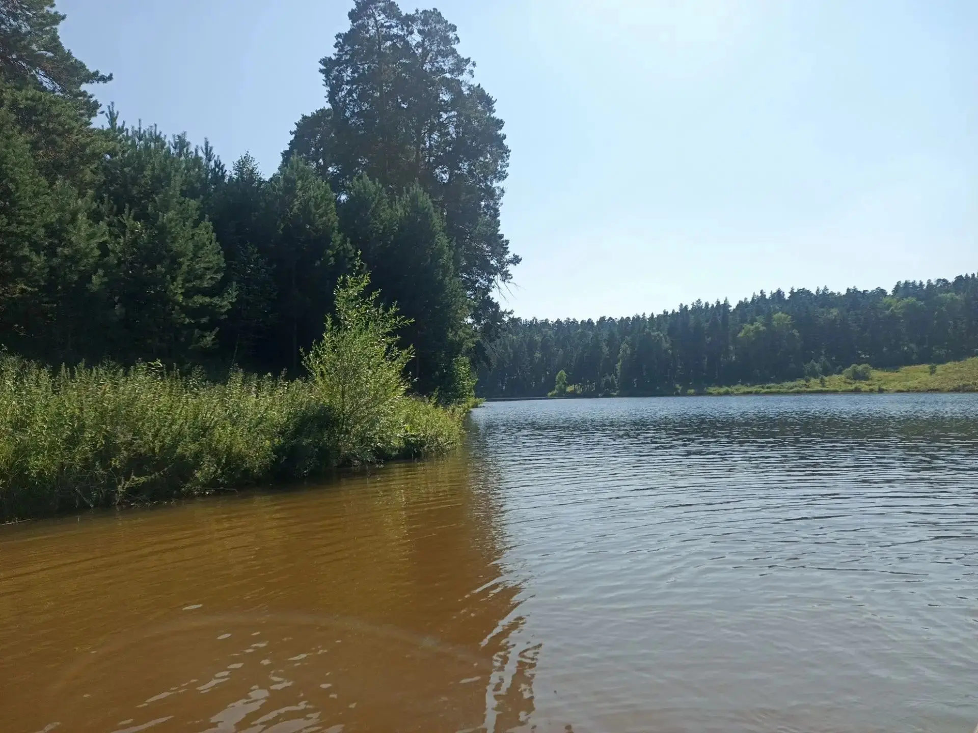🌳Выходные без капризов природы✨
https://selskieogni.ru/articles/obshchestvo/2026-08-07/vyhodnye-bez