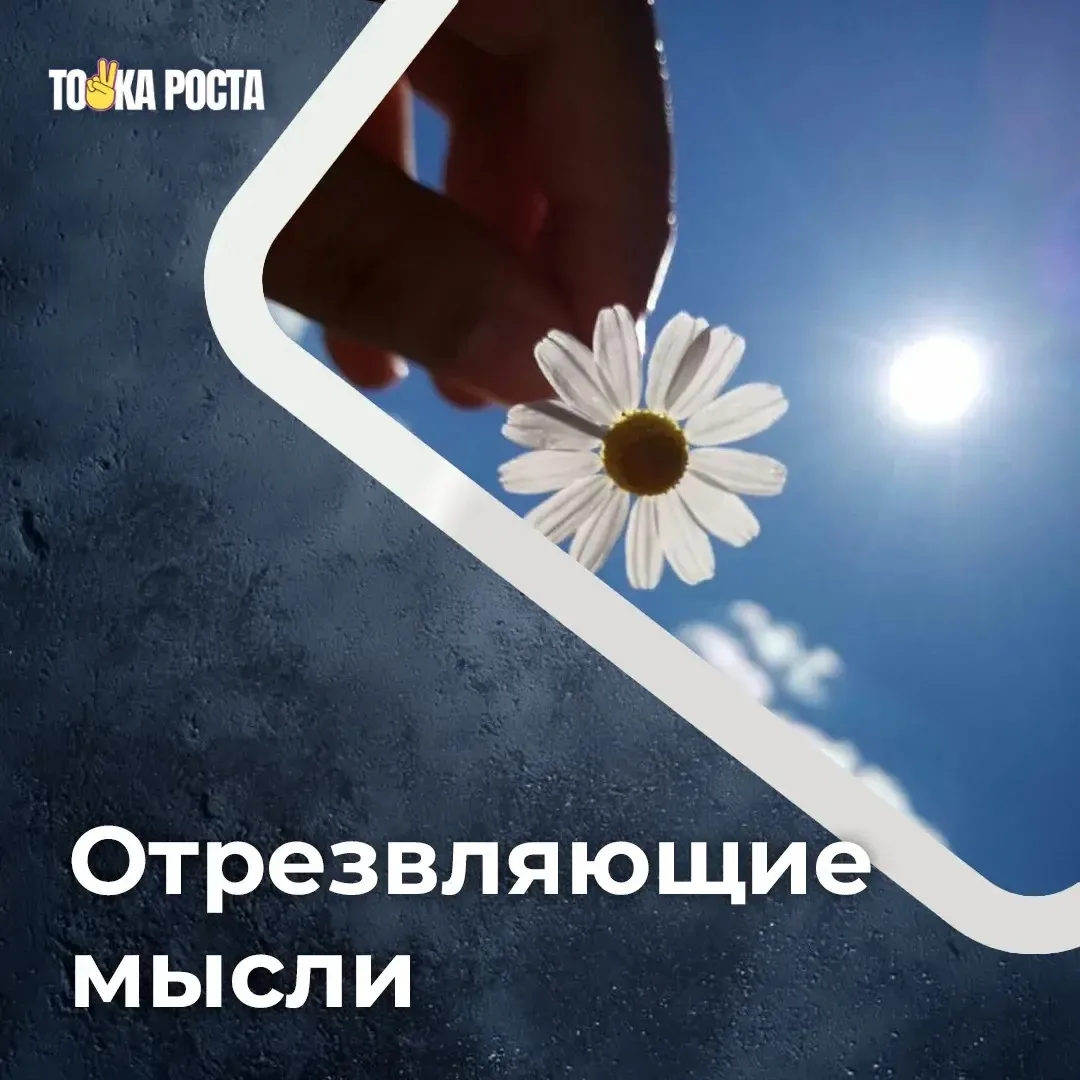 • В мире нет ничего идеального. Отстань от себя.

 • Не принимай решения на эмоциях, перед сном и ср