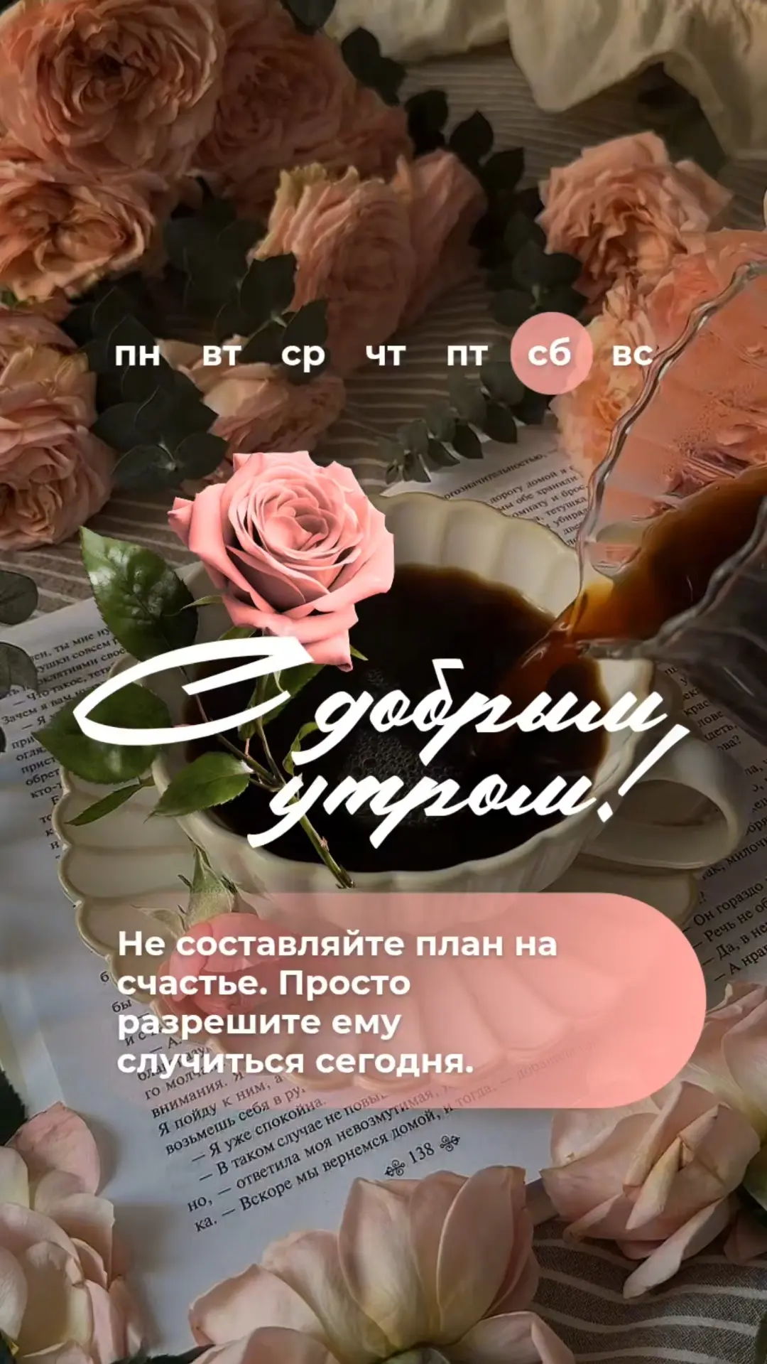 Не составляйте план на счастье. Просто разрешите ему случиться сегодня.