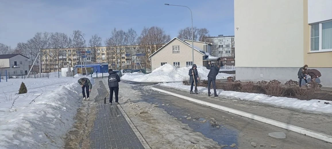 В рамках реализации месячника по благоустройству и санитарной очистке населённых пунктов, в МАОУ СОШ