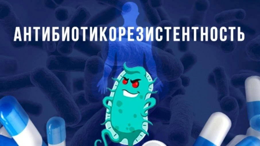 Борьба с антимикробной резистентностью (АМР) — это одна из самых актуальных проблем современного здр