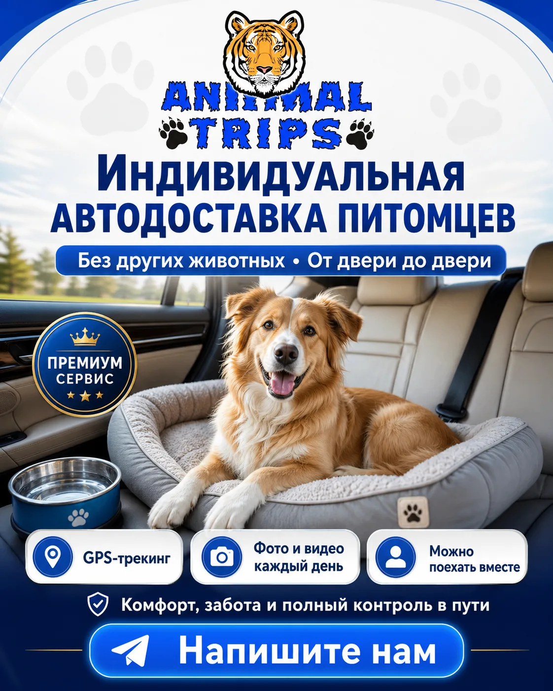 Индивидуальная автодоставка питомцев 🚐🐾