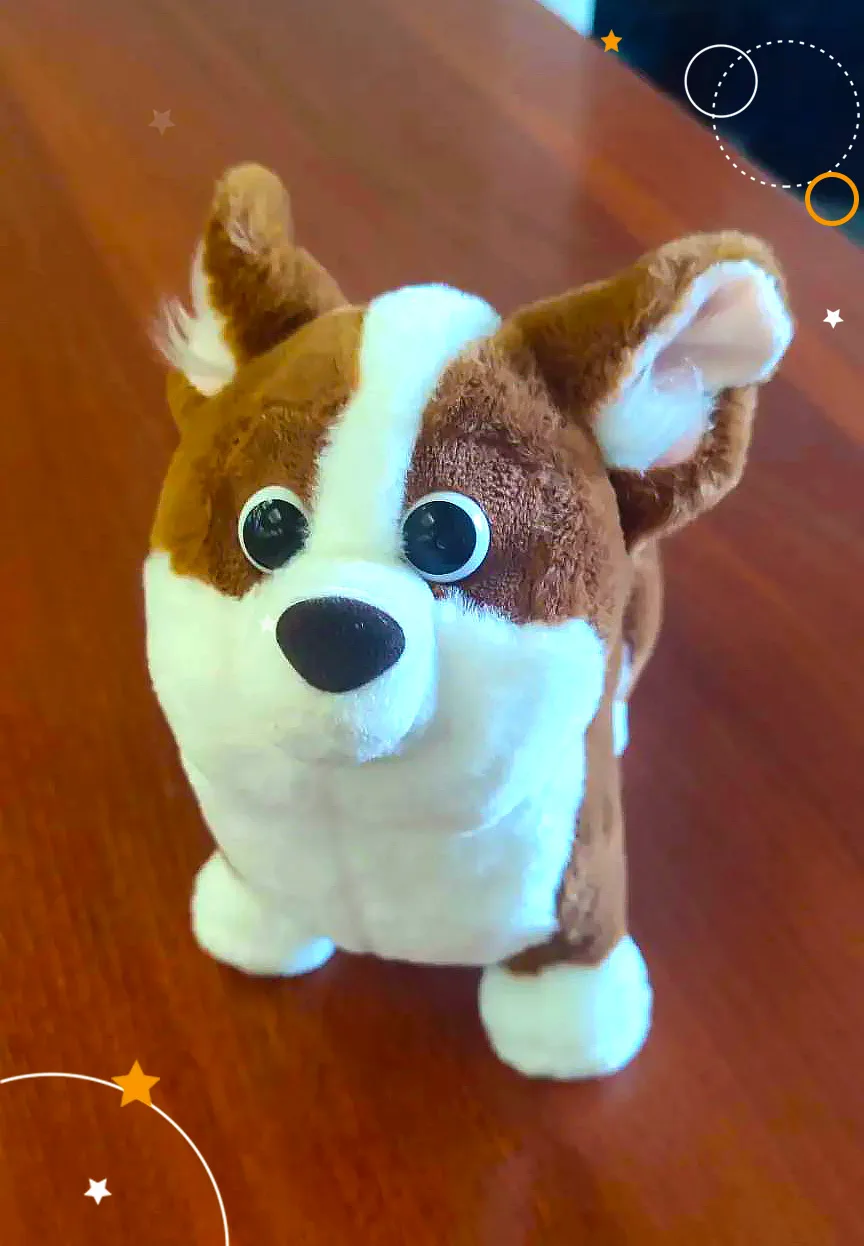 🐶🚀 Бюро находок Барнаульского планетария объявляет поиск хозяина!

Друзья, бывает, что после сеанс
