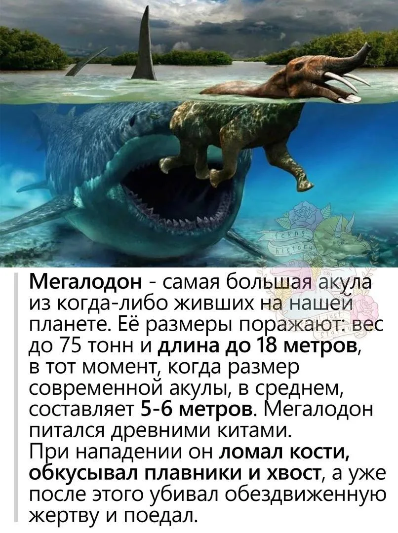 история которую вам не расскажут в школе 🩸