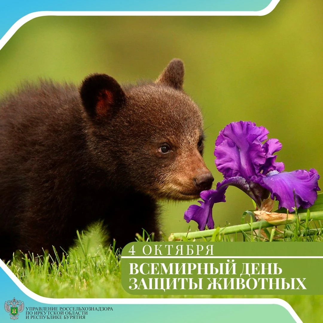 С Всемирным днём защиты животных! 🐾