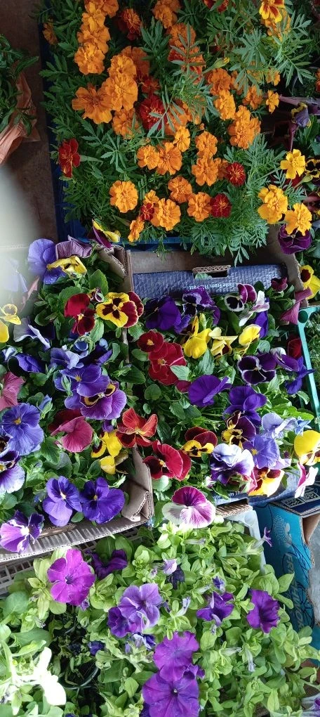 💐
