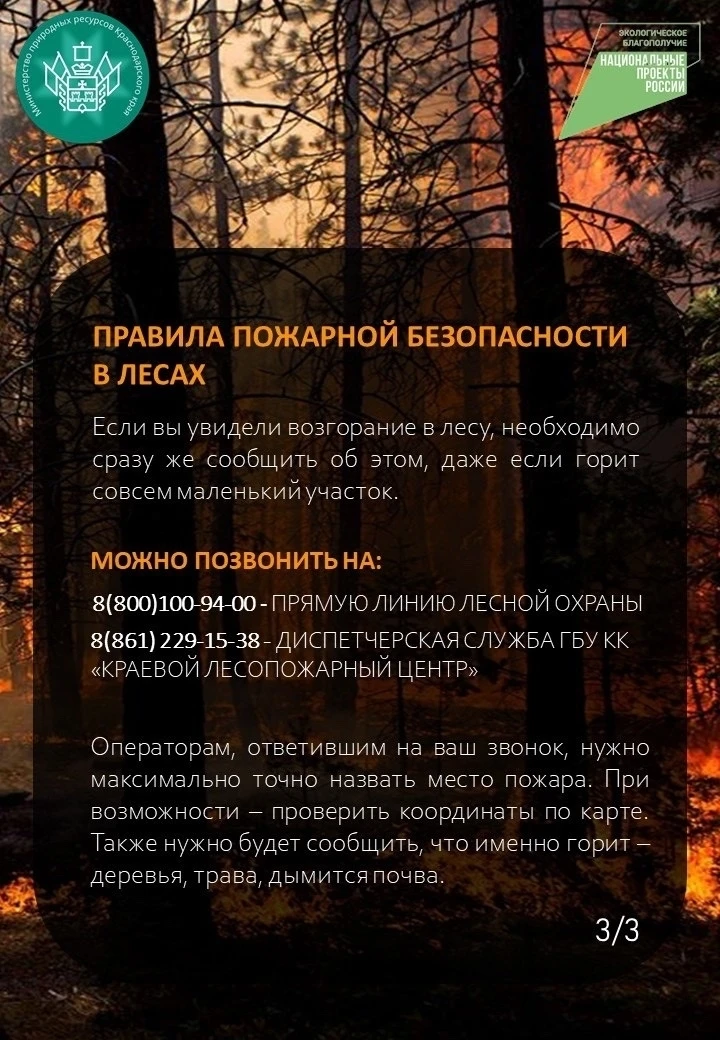 Правила поведения и ответственность
