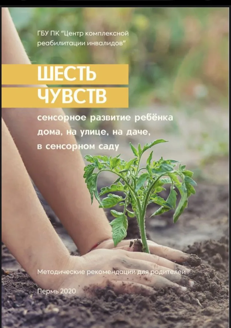 «Шесть чувств» - сенсорное развитие ребёнка дома, на улице, на даче, в сенсорном саду» (методические