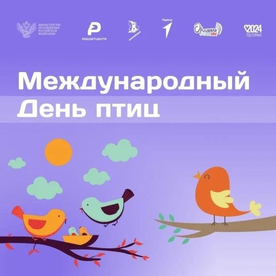В нашей школе отметили День птиц: стихи, песни и новые домики для пернатых.