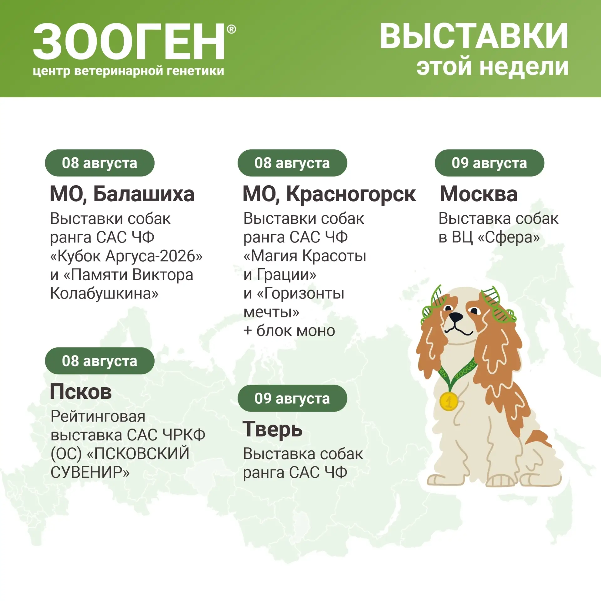 Медиа публикации