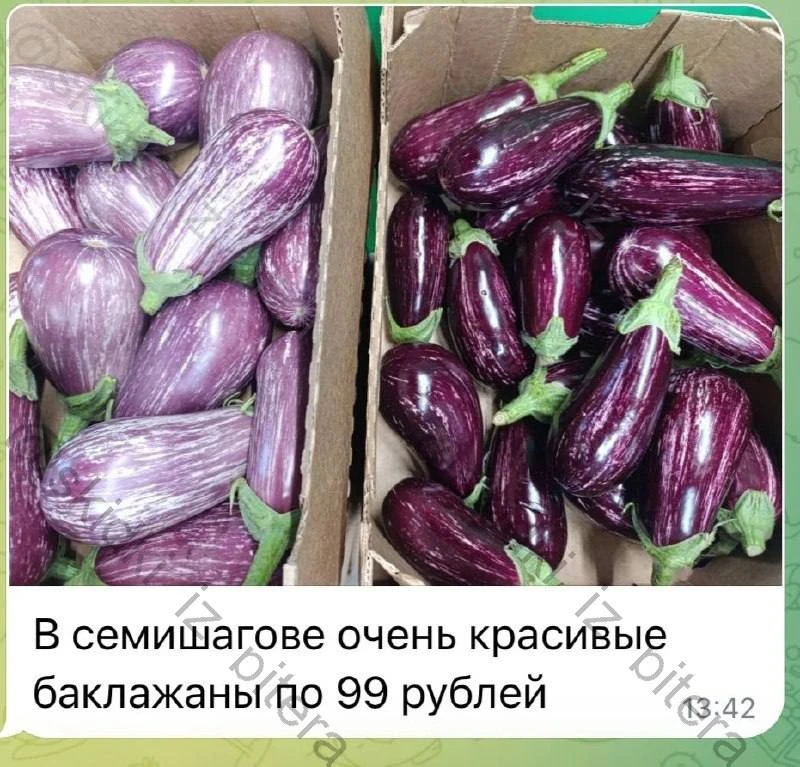 ⁣⁣⁣⁣⁣🛒Семишагофф