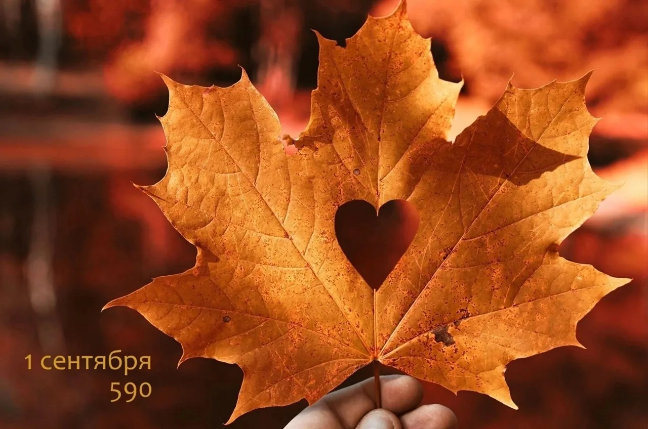Совсем скоро 1 сентября! 🍁🍂🍃🍂
