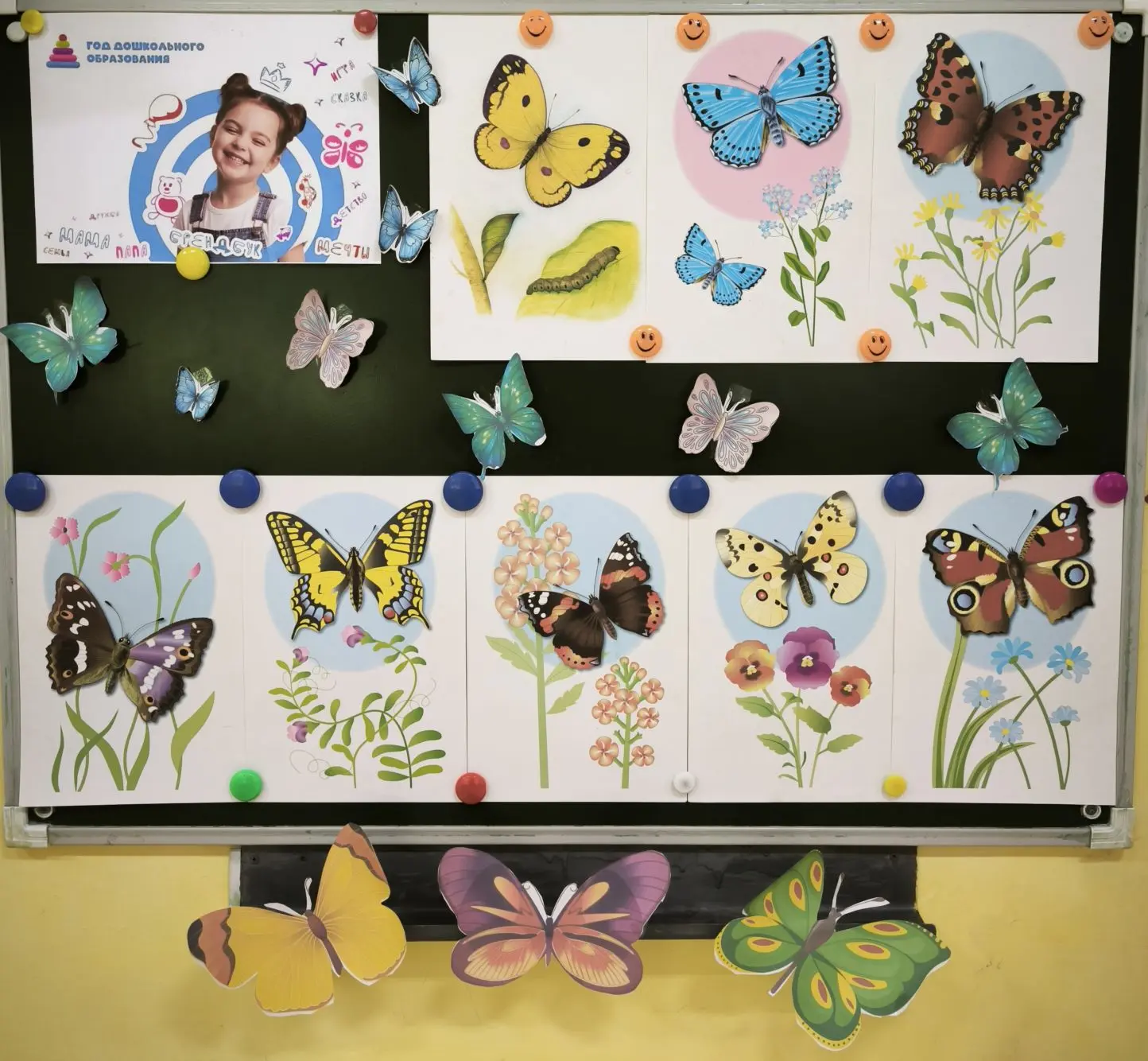 #ГодДошкольногоОбразования
#ГДОКузбасс
#ГодЕдинстваНародовРоссии 
#ДеньБабочек
💫19 июня – «День баб