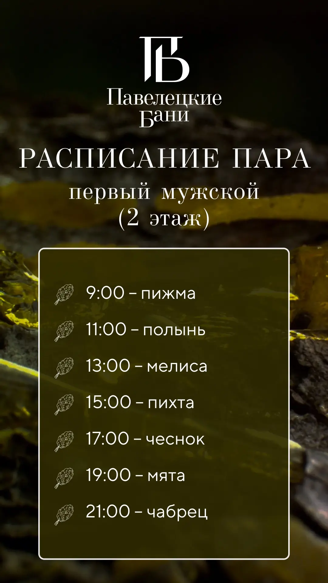 Актуальное расписание пара на неделю