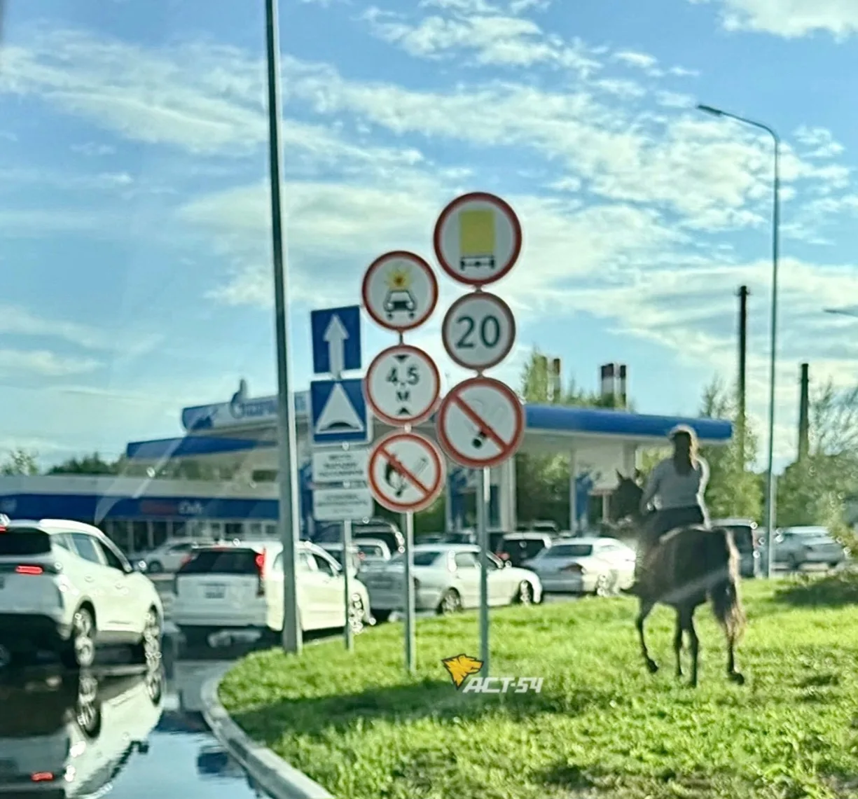 На днях на Советском шоссе заметили всадника на лошади