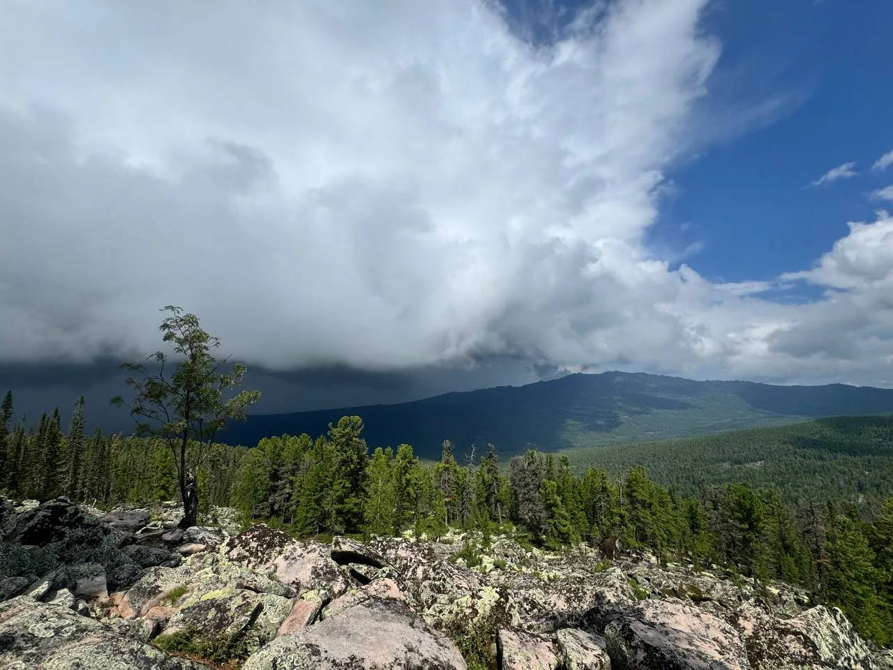 ⛰️ Пока всё хорошо - команда не проверяется