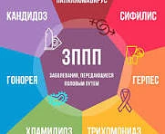 💤Профилактика и диагностика ИППП
Многие ученые рекомендуют молодым людям, которые находят своего пе