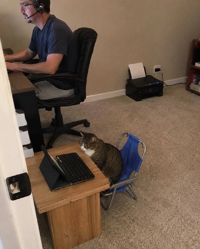 Коллеги, я всё проверил, там всё ок, хороших выходных! 🐾👋