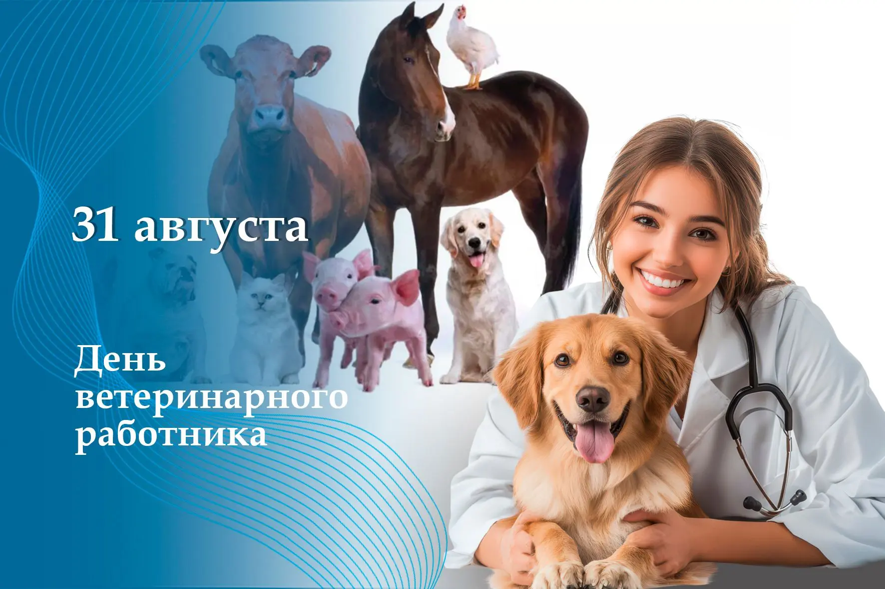 Дорогие ветеринары!