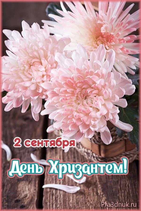 Список качественных каналов в МАКС | Смотреть ❤️