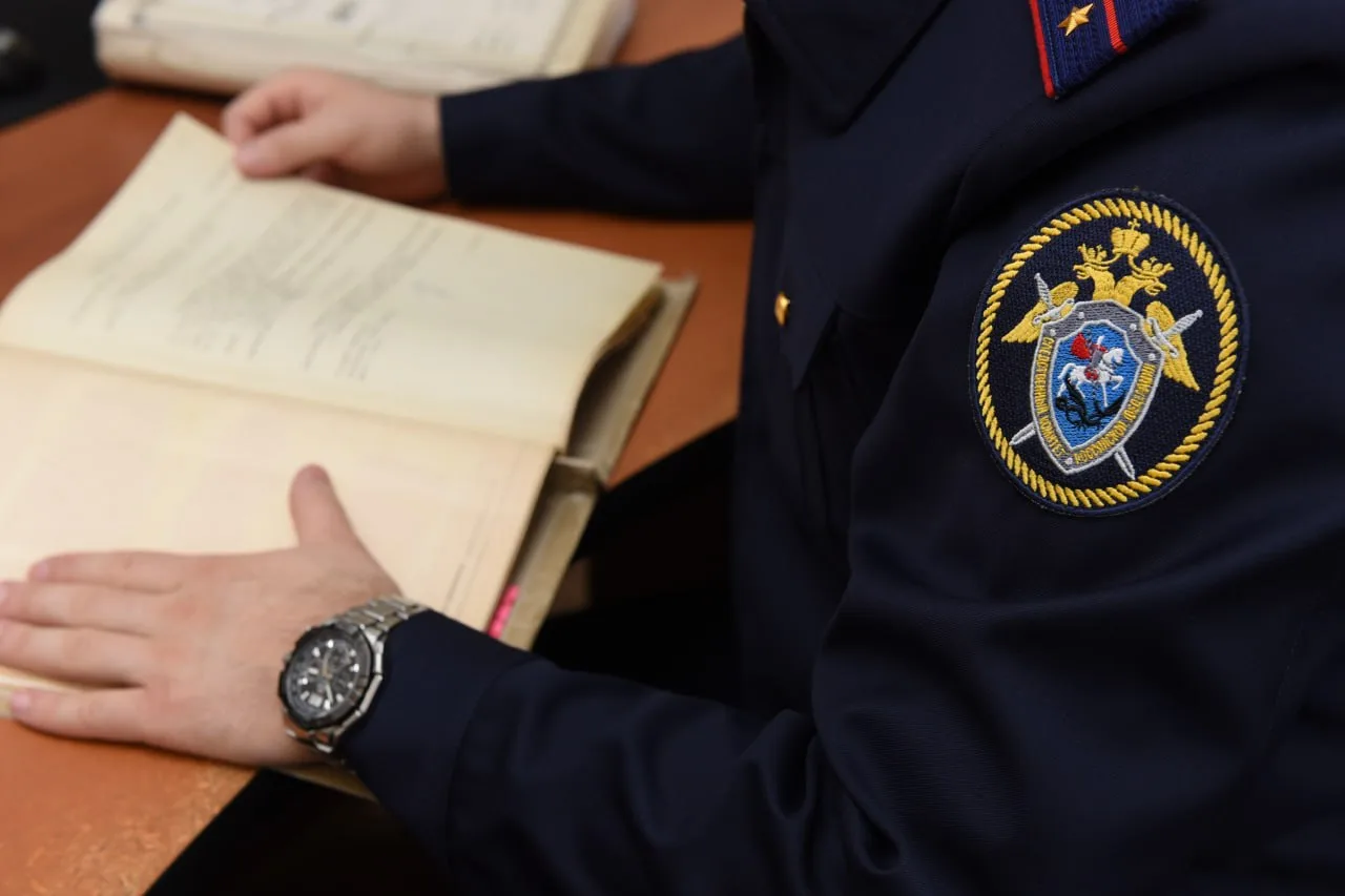 В Зеленчукском районе перед судом предстанет местный житель, обвиняемый в оказании услу...