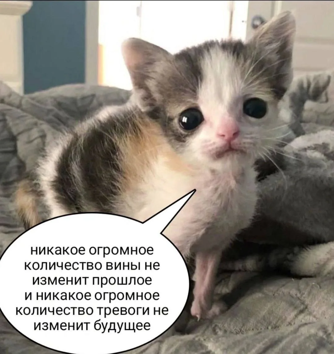 Всем любви и доброй ночи❤️