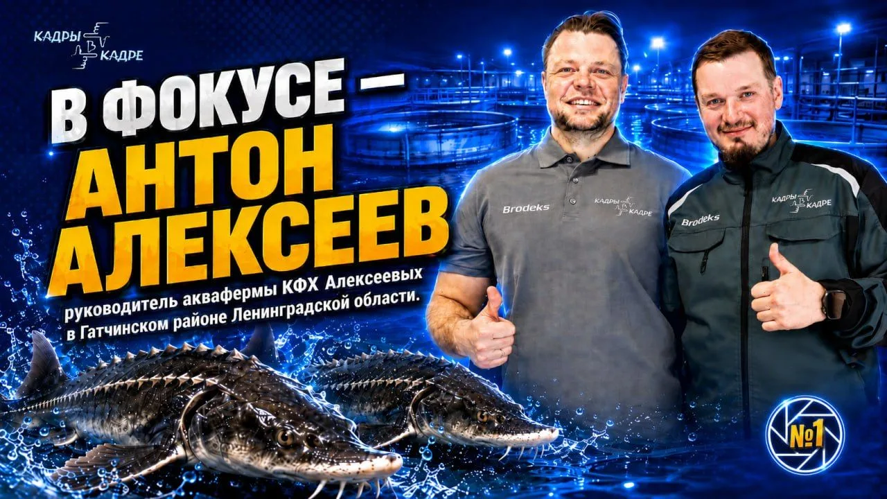 🎣 Ну что, готовы к еще одной интересной истории?