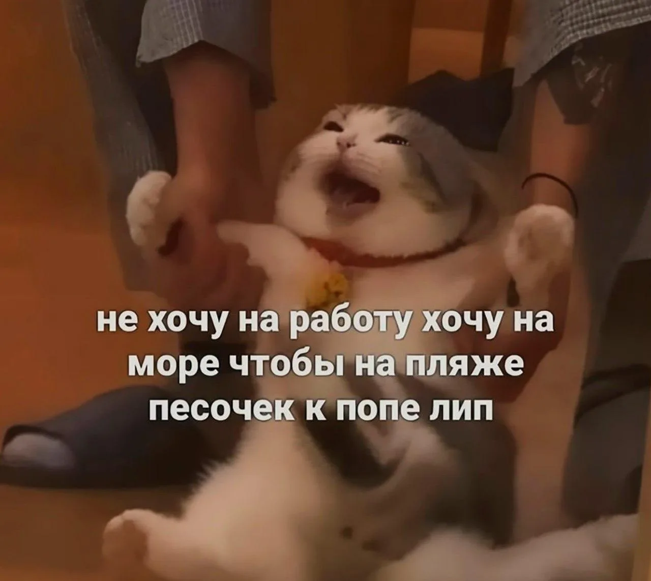 Утро вторника, состояние: